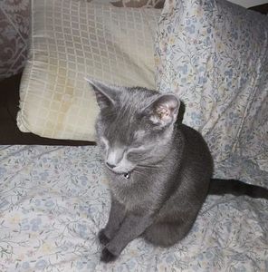 Meet your Posher, Katrina